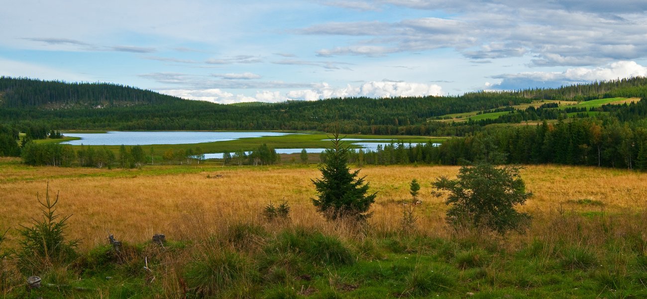 Kulturlandskapet ved Tommelsjøen