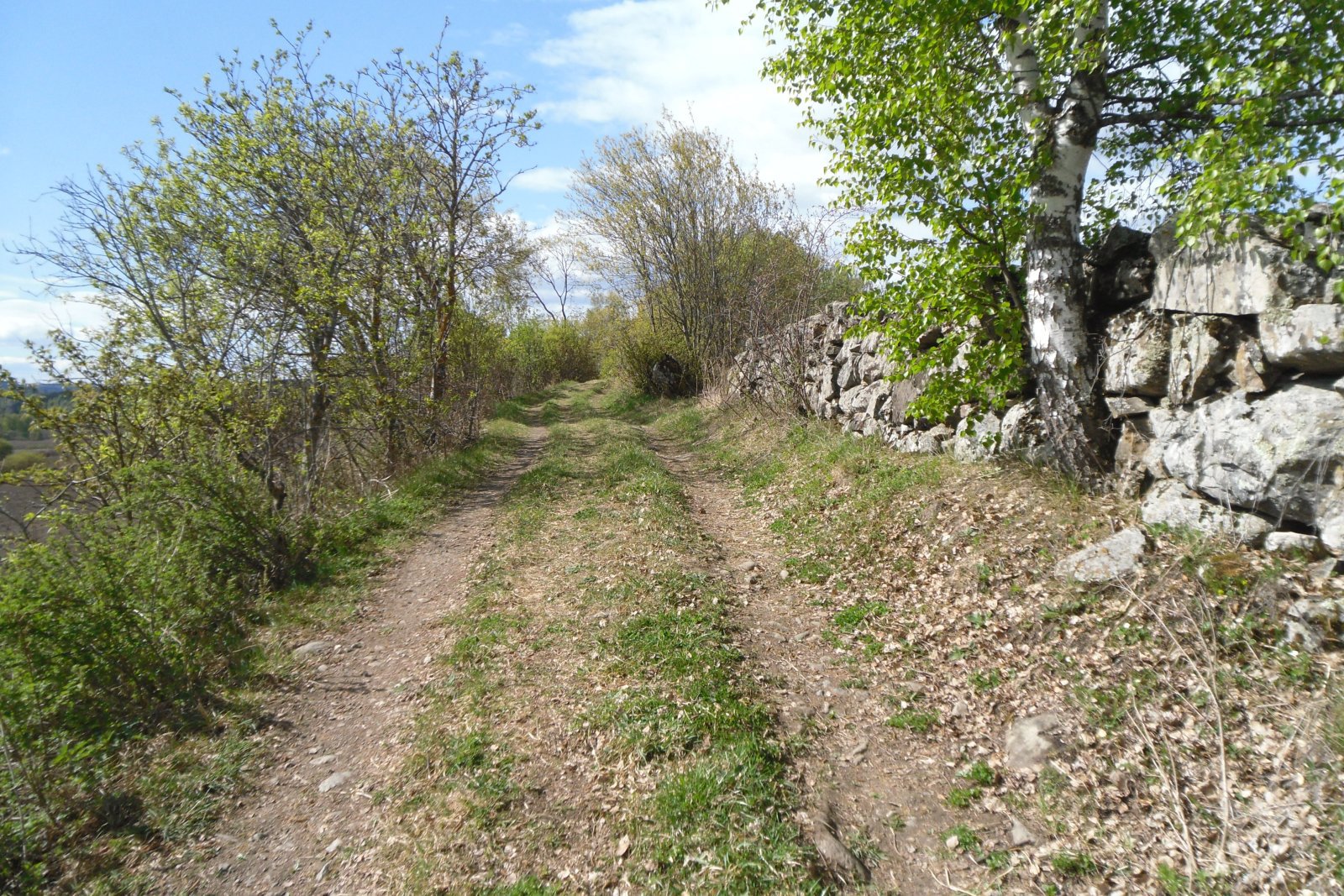 Kulturstien på Tingelstadhøgda