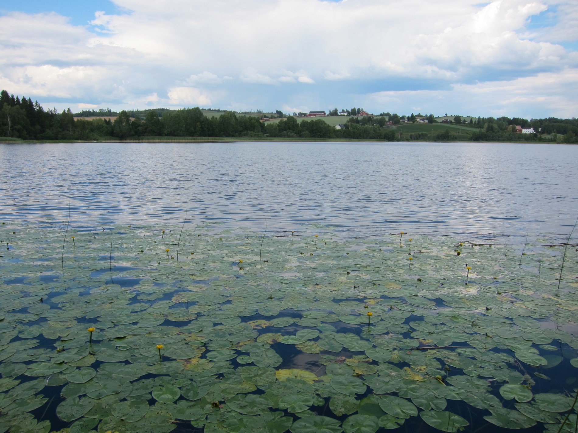 Kun krusninger på Vassjø