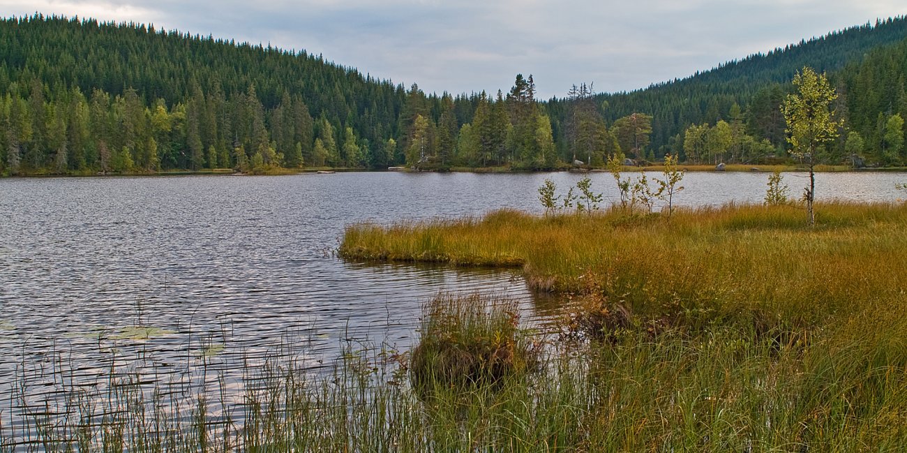 Kvelden nærmer seg ved Tverrsjøen