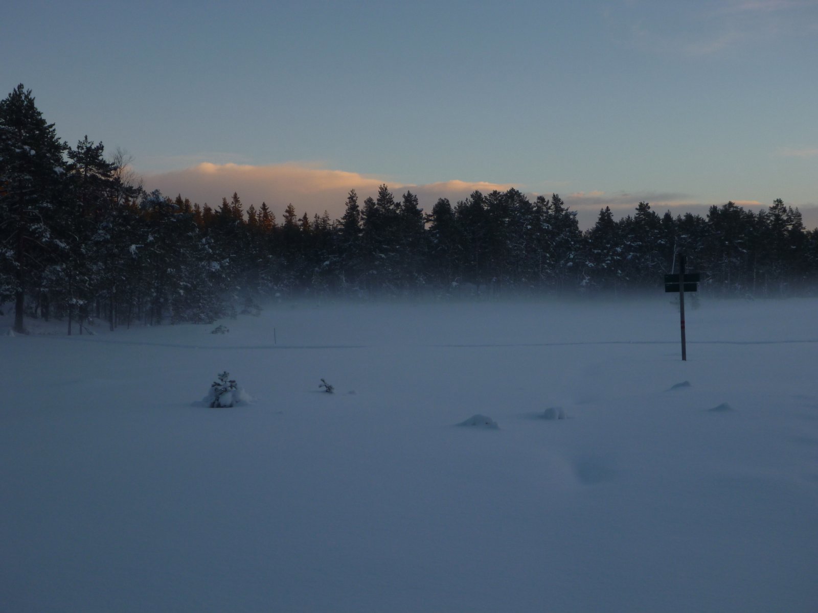 Kveldsstemning på Fjellfugleleiken