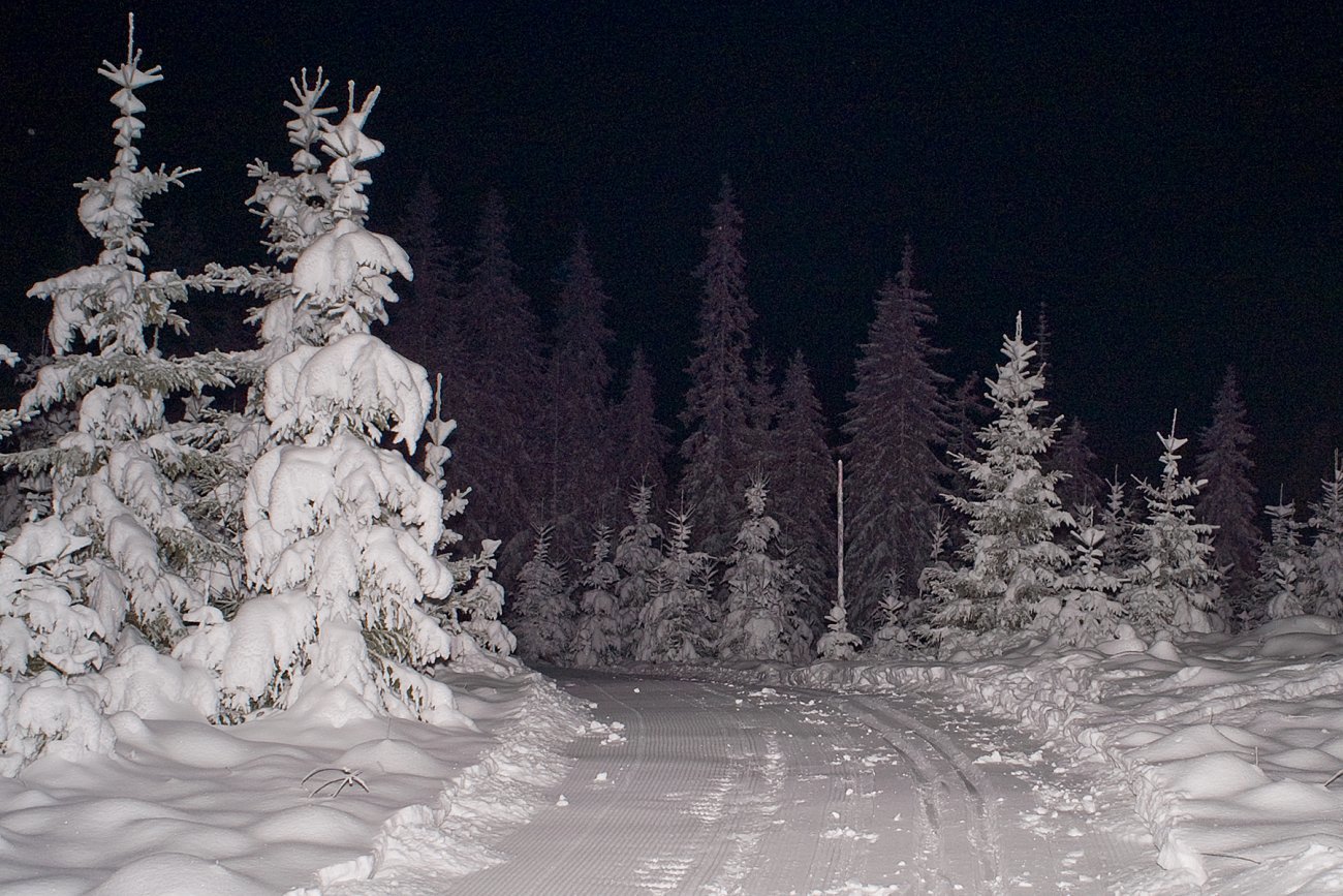 Kveldstur i Treningsrunden
