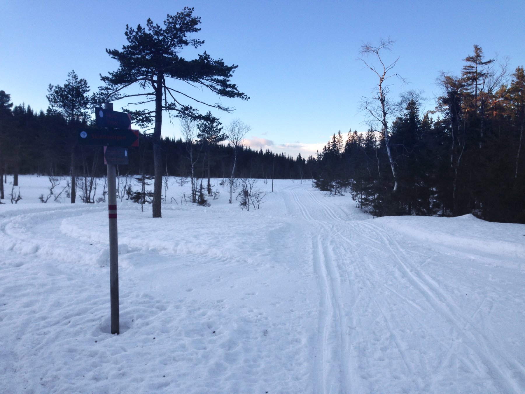 Kveldstur over Frønsvollmyrene