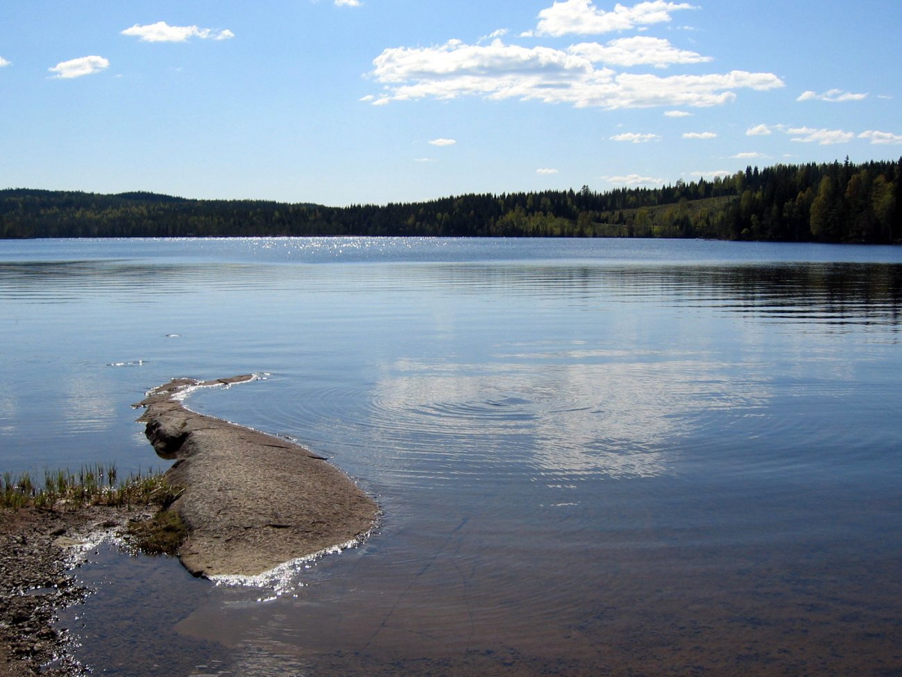 Lang sommer ved Langvann?