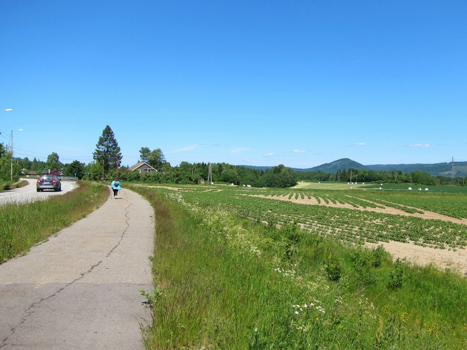 Langs Trondheimsvegen gjennom Eidsvoll