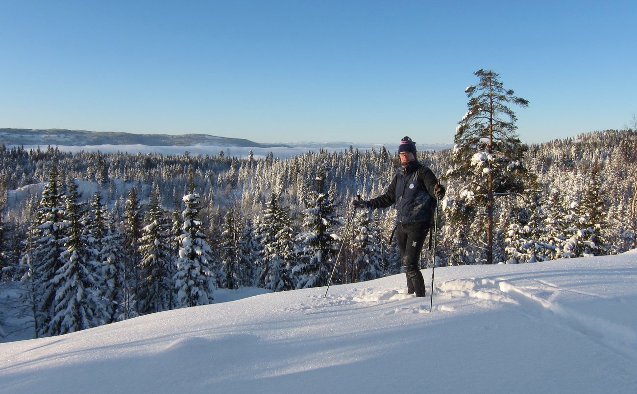 Langt vest på Krokskogen
