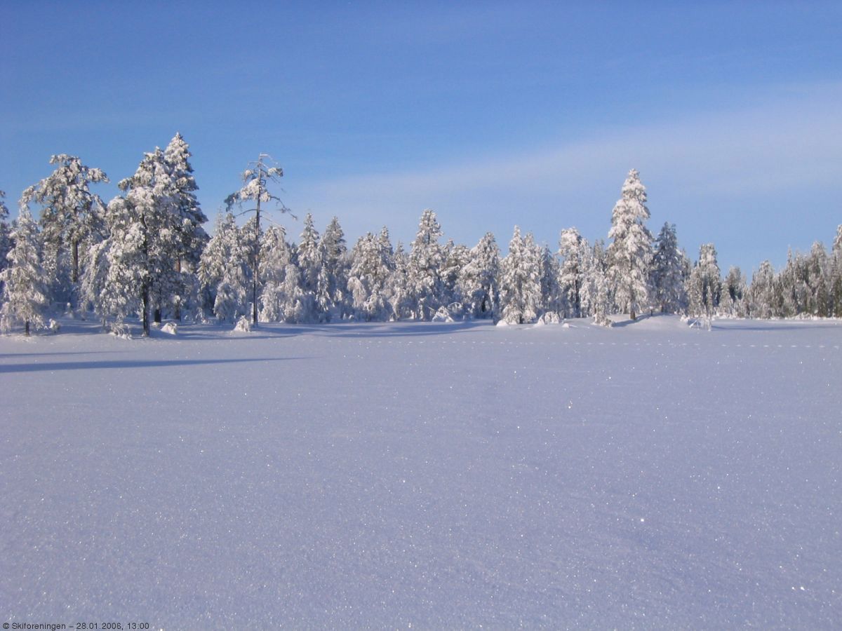 Langtjern ved Spålsveien