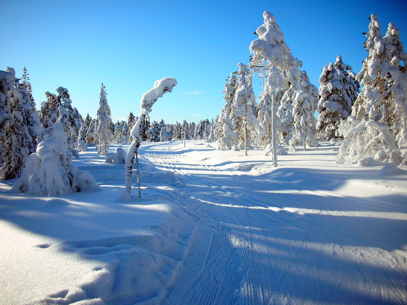 Lauvlisæterbrenna i all sin prakt
