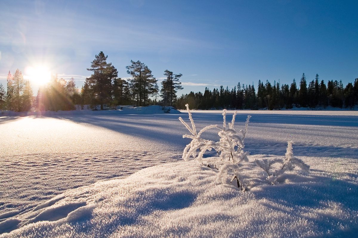 Lav desembersol over Store Snellingen