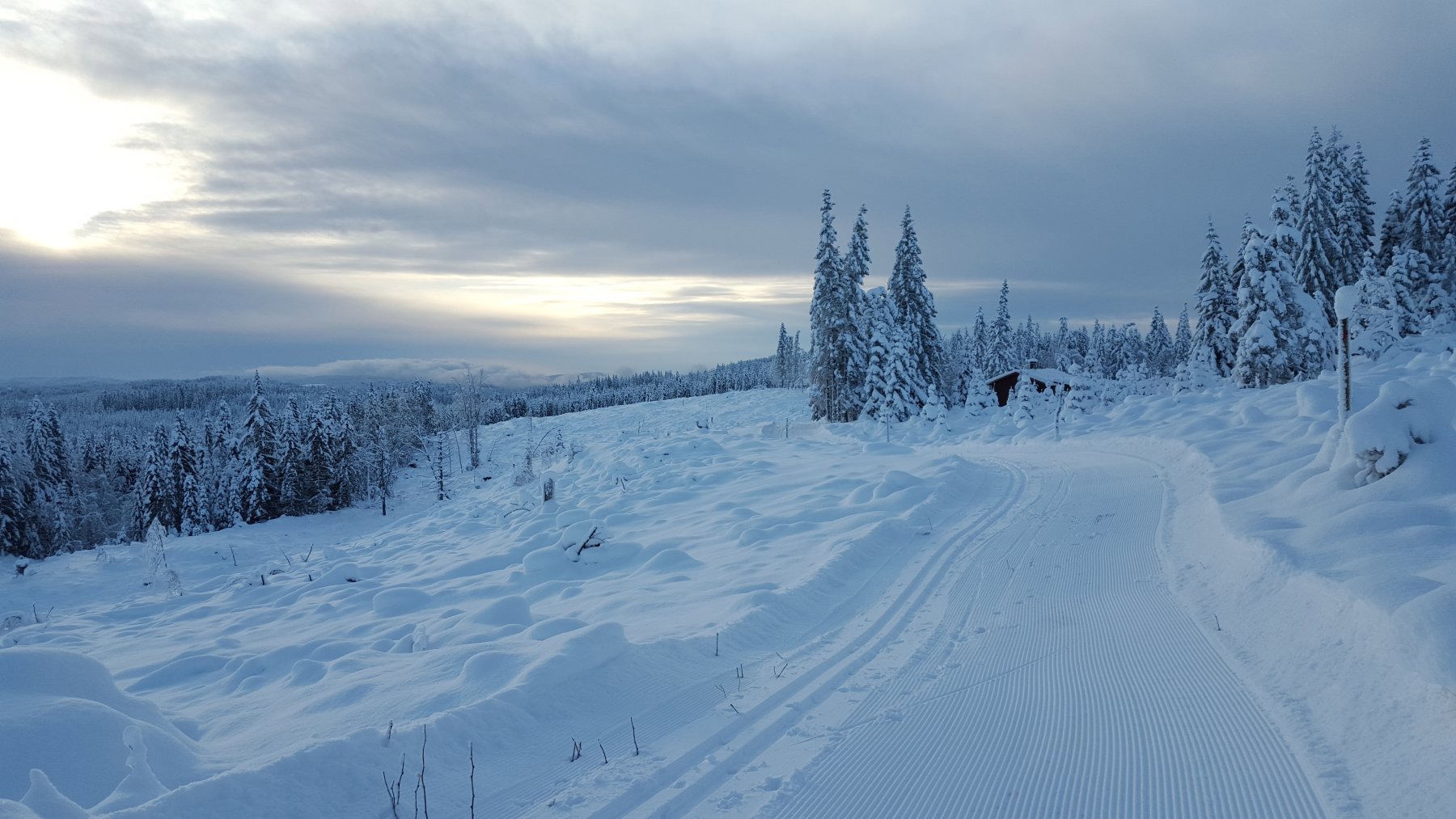 Lav januarsol over Finneflak