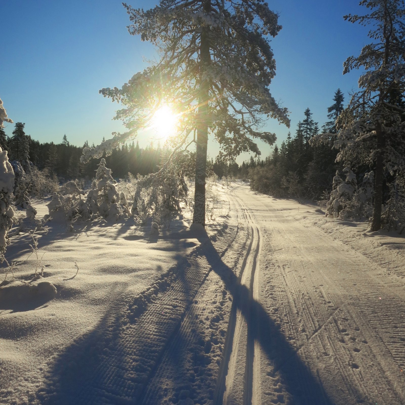 Lav sol i Treningsrunden