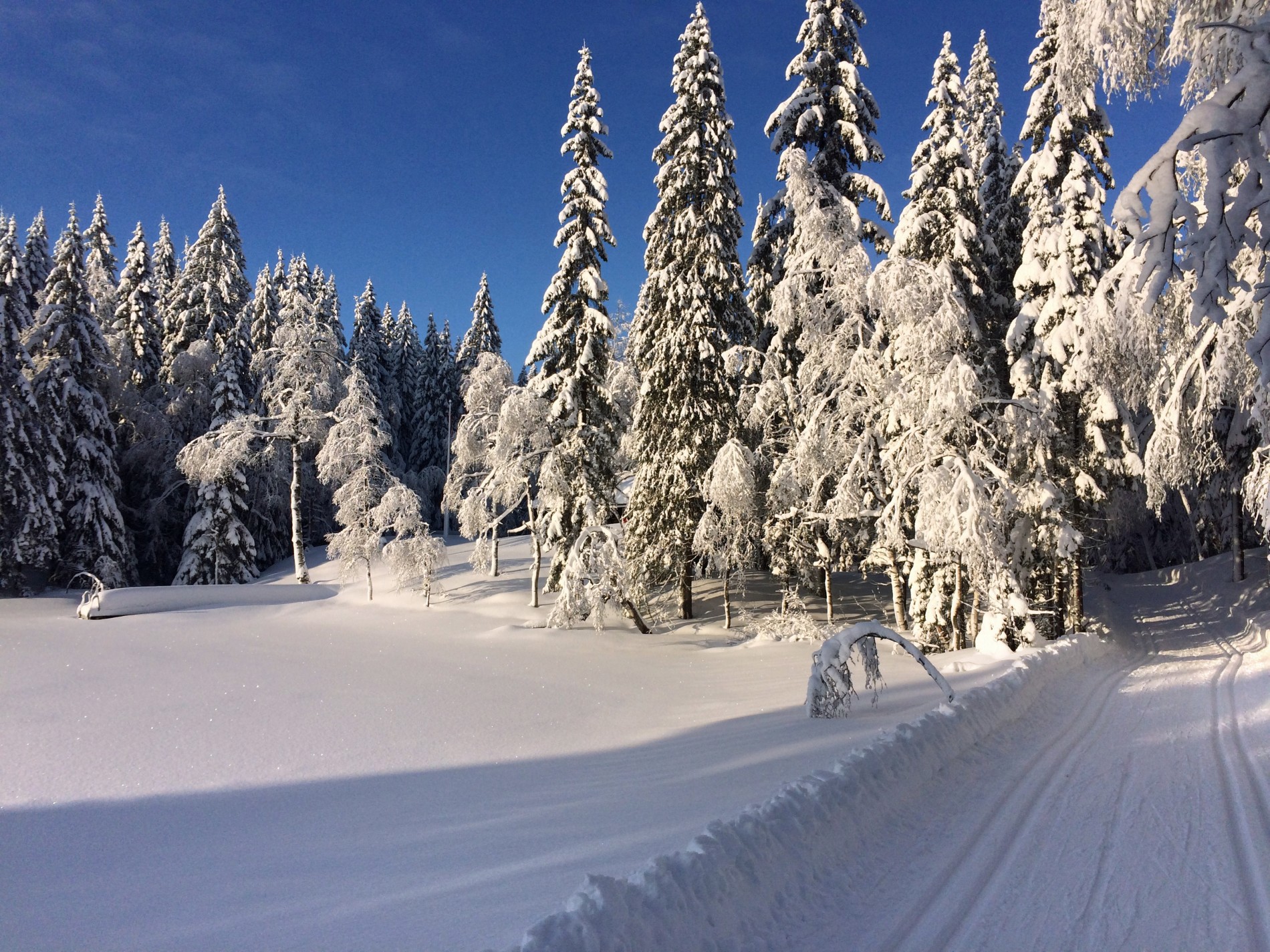 Lenge siden forrige bad