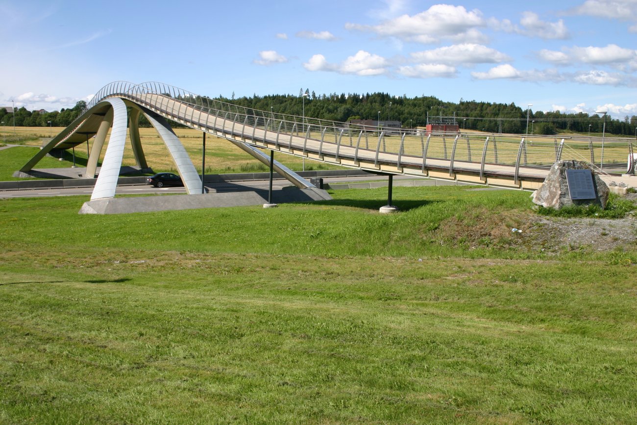 Leonardo Da Vincis bro