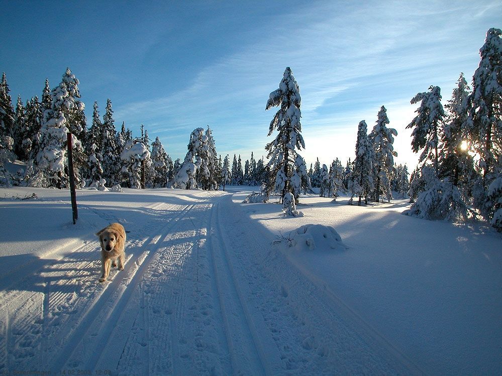 Like før utsikten på Vidvangen