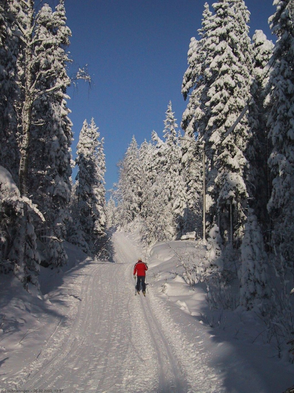 Lillomarka fra sin beste side