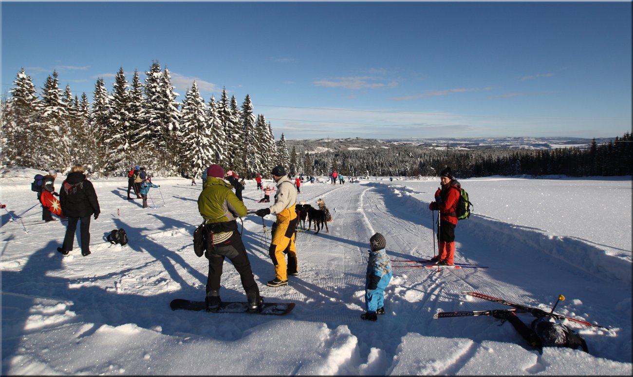 Liv og røre ved Skistua