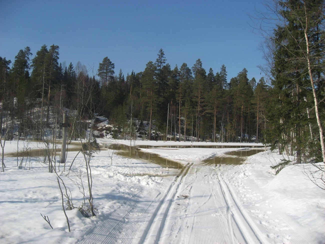 Løkensetermyra