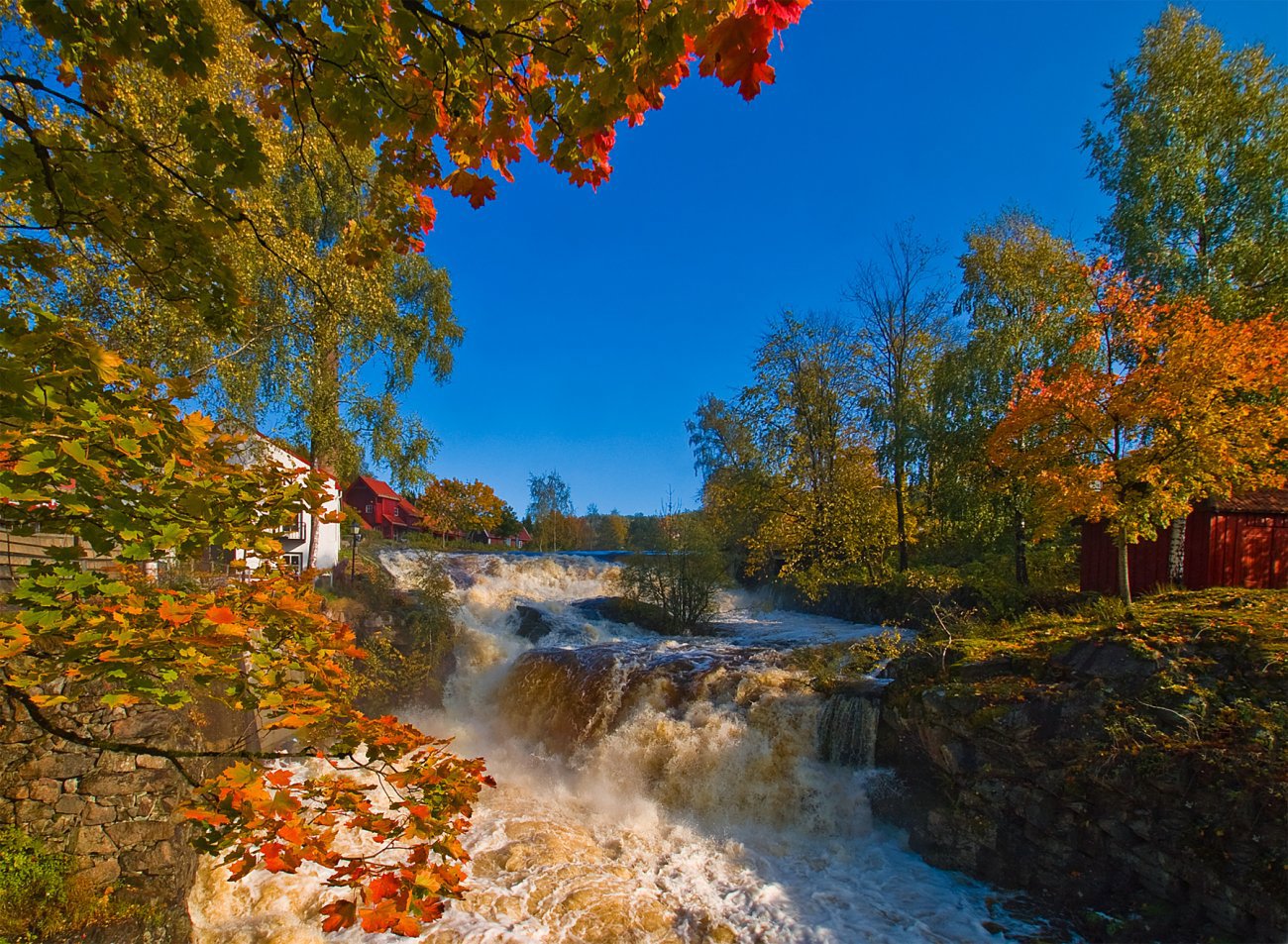 Lomma gjennom sesongriktige landskapsfarger