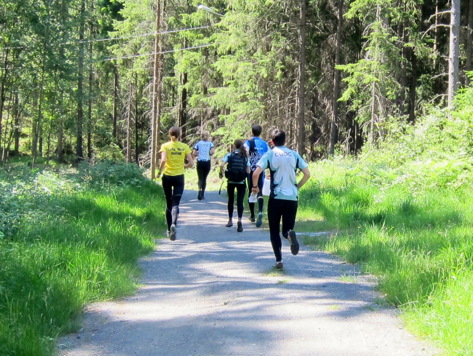 Løpetur i Mossemarka