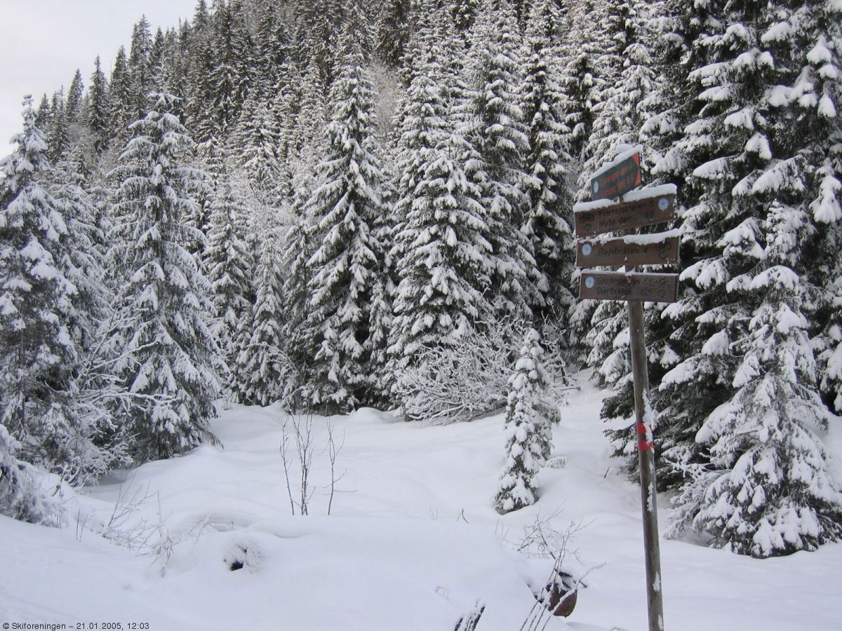 Løypa gjennom Kalvedalen