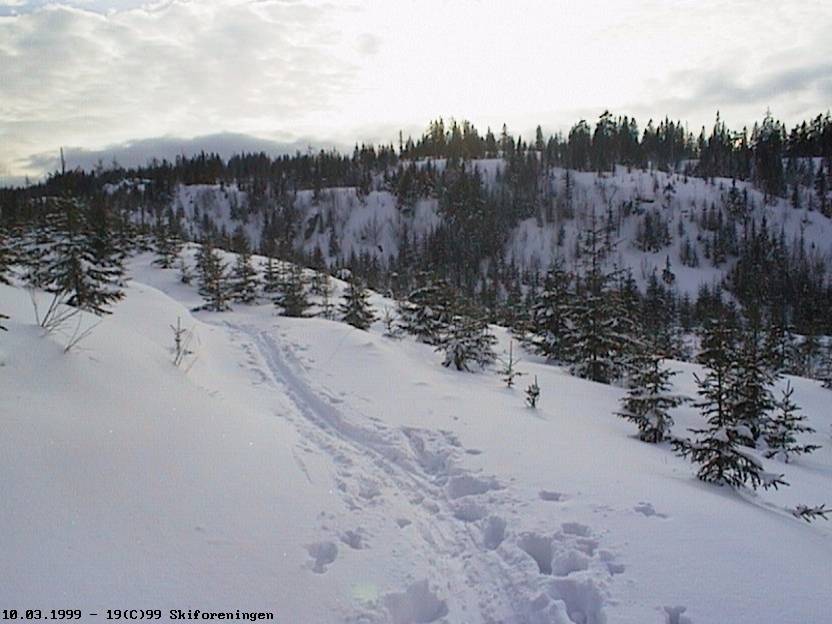 Løypa mellom Skomakertjern og Wyllerløypa