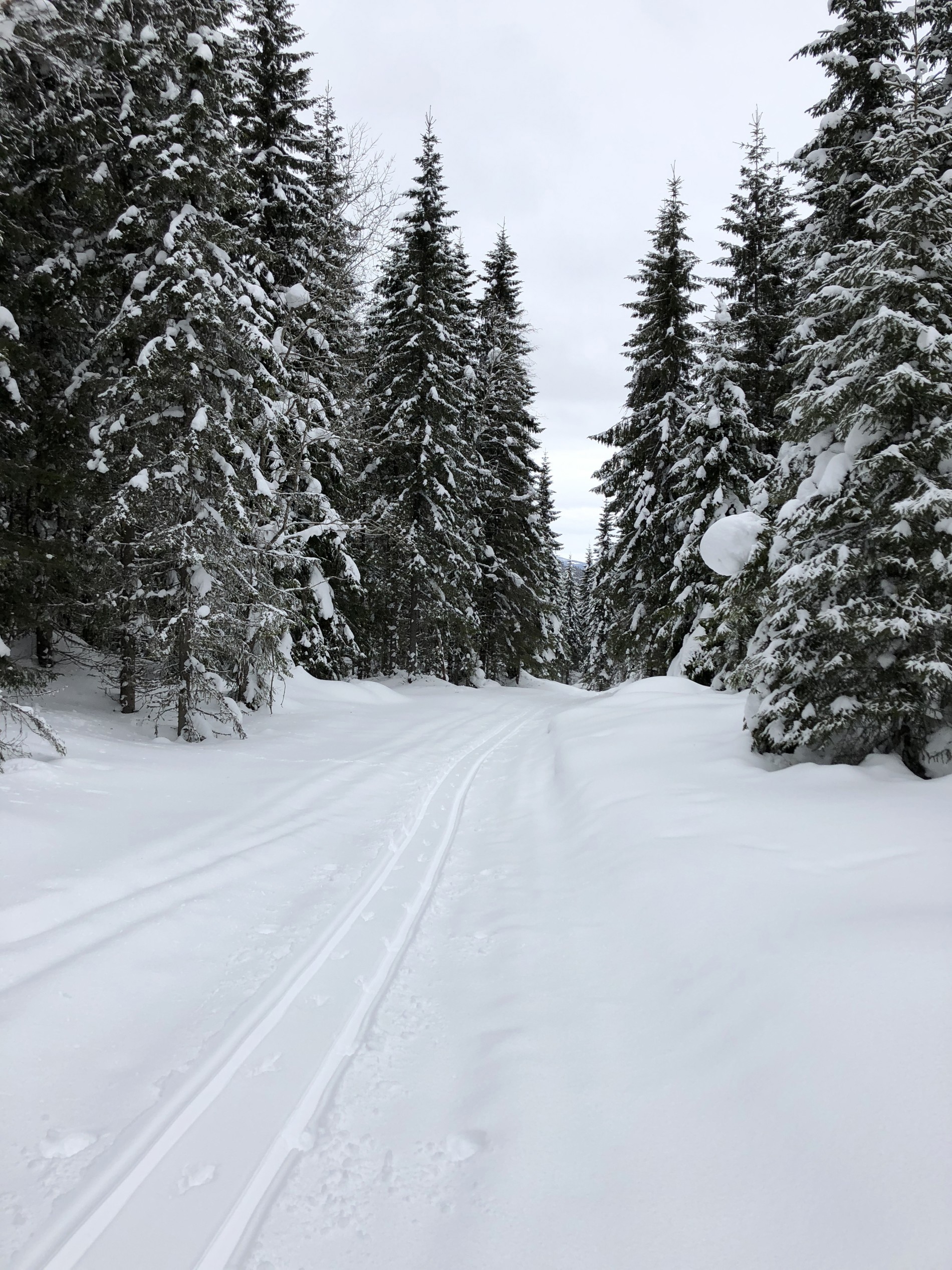 Løypa mellom Sønstebygrenda og Ormsteinsmyra