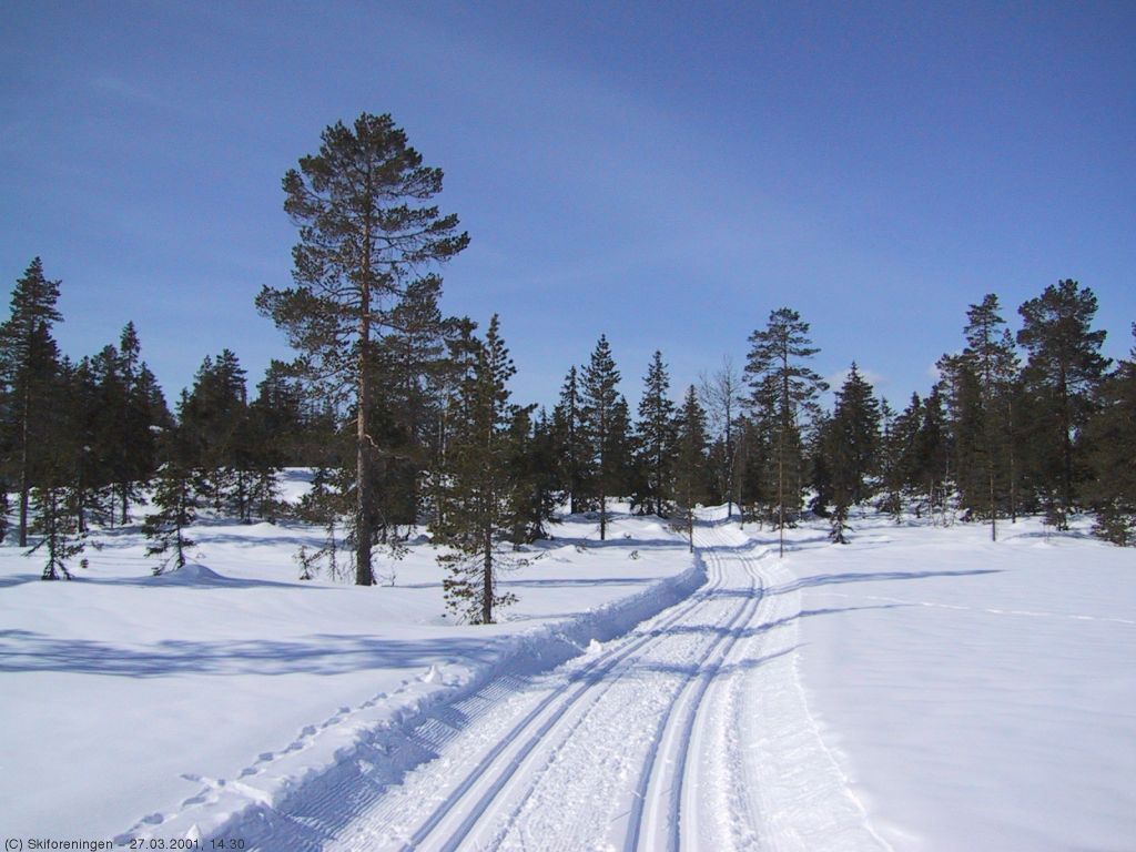 Løypa over Vardåsen er en opplevelse