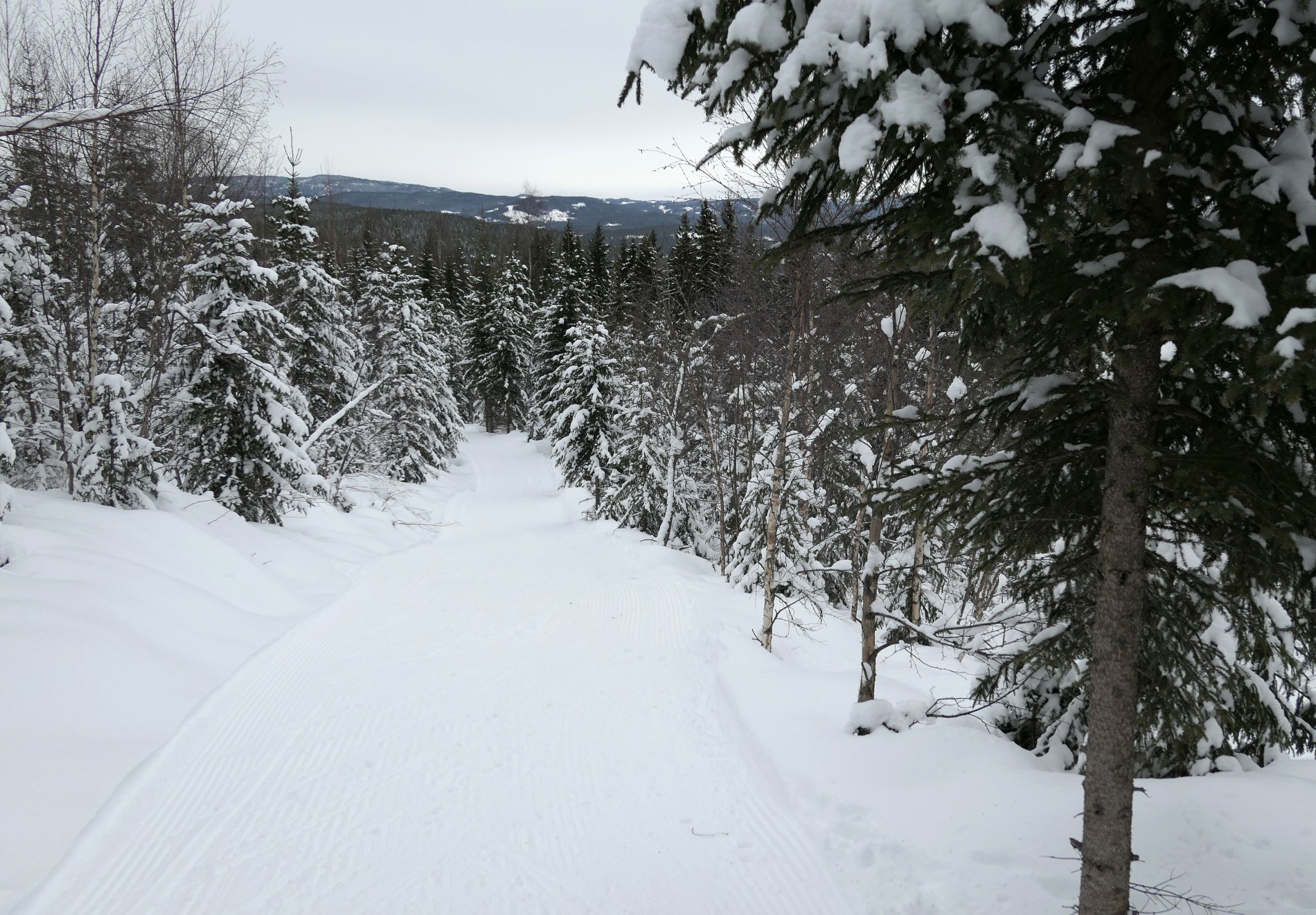 Løype 107 fra Stryken