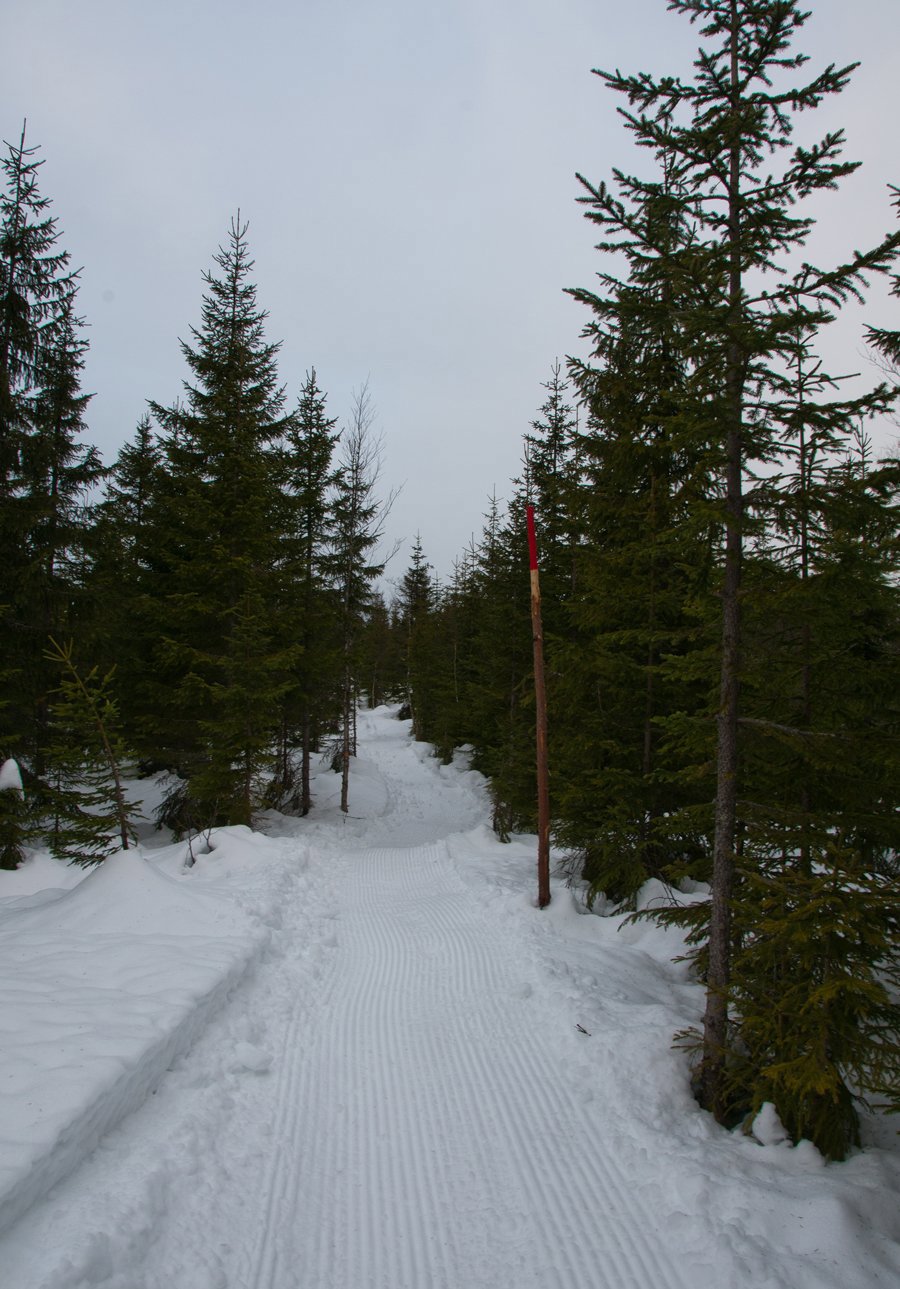 Løype nr. 1057: Bakkholtjerna - Lauvtangen