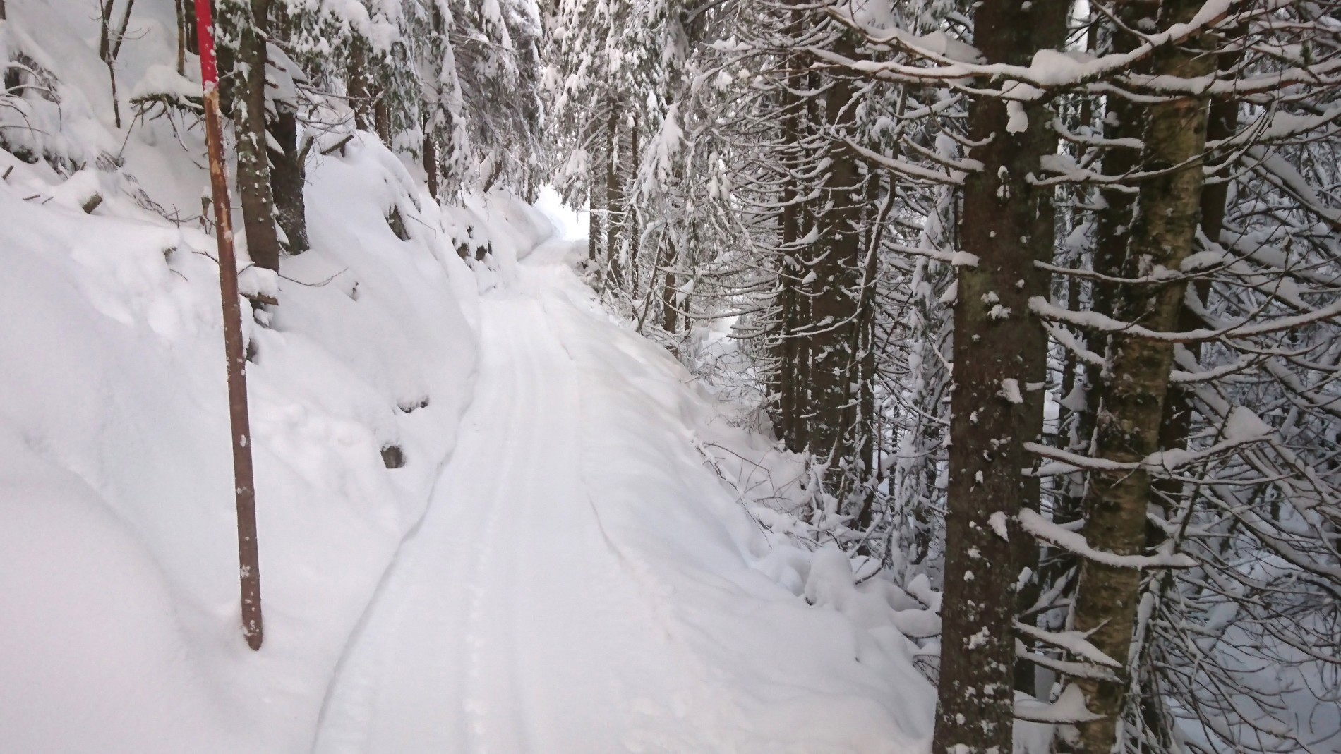 Løype på gammel hestevei