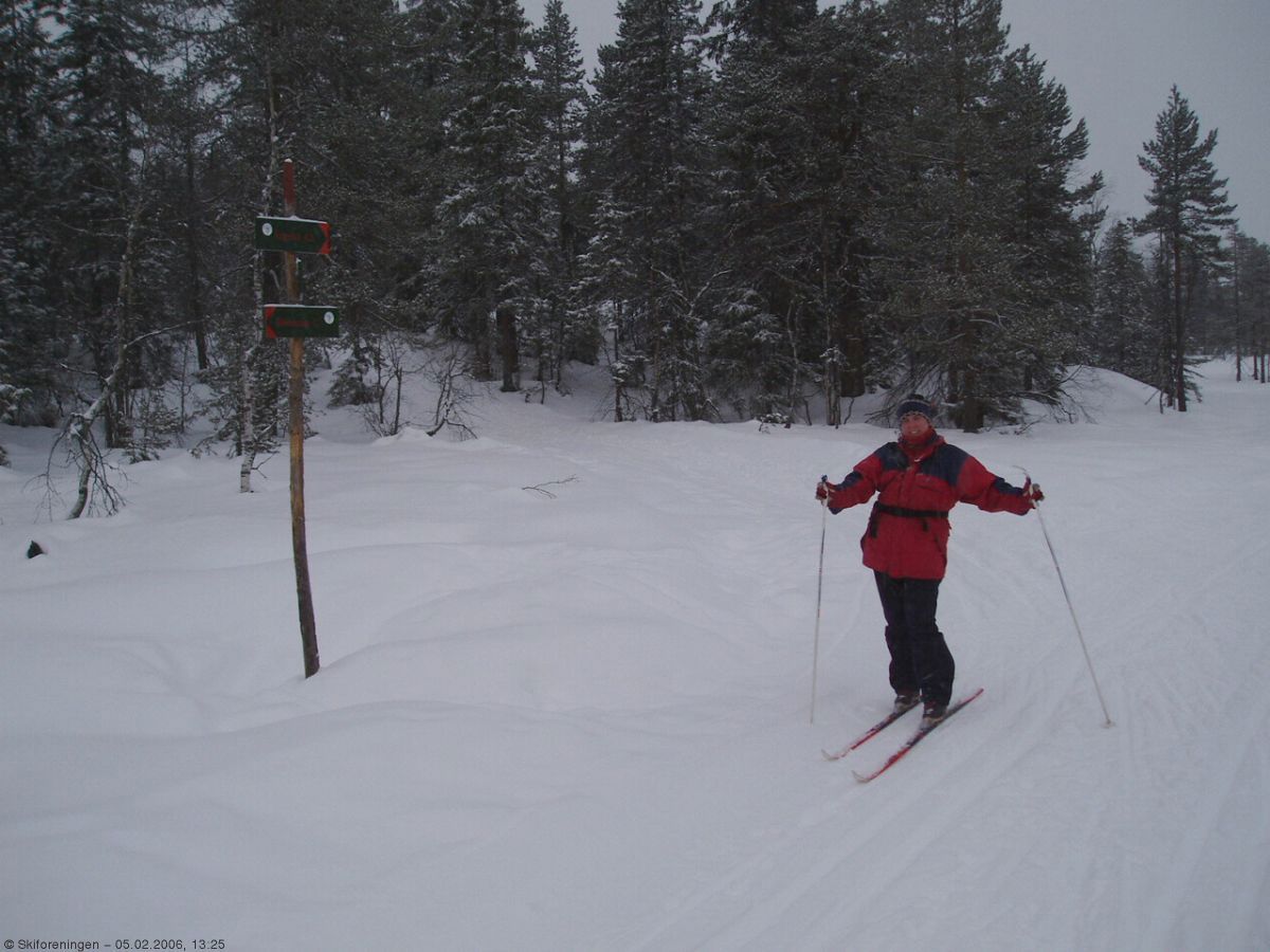 Løypedele Vardåsen/Åsgreina
