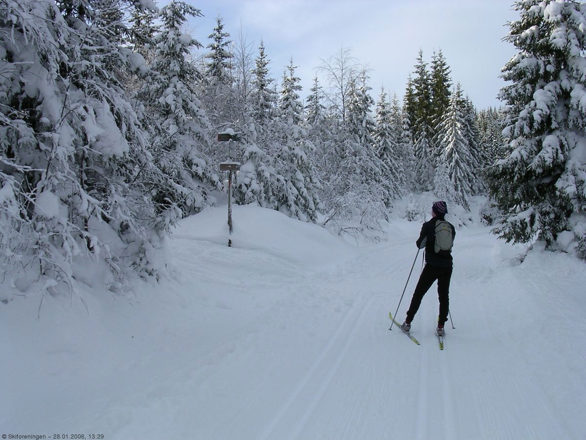 Løypedele ved Langlimyra