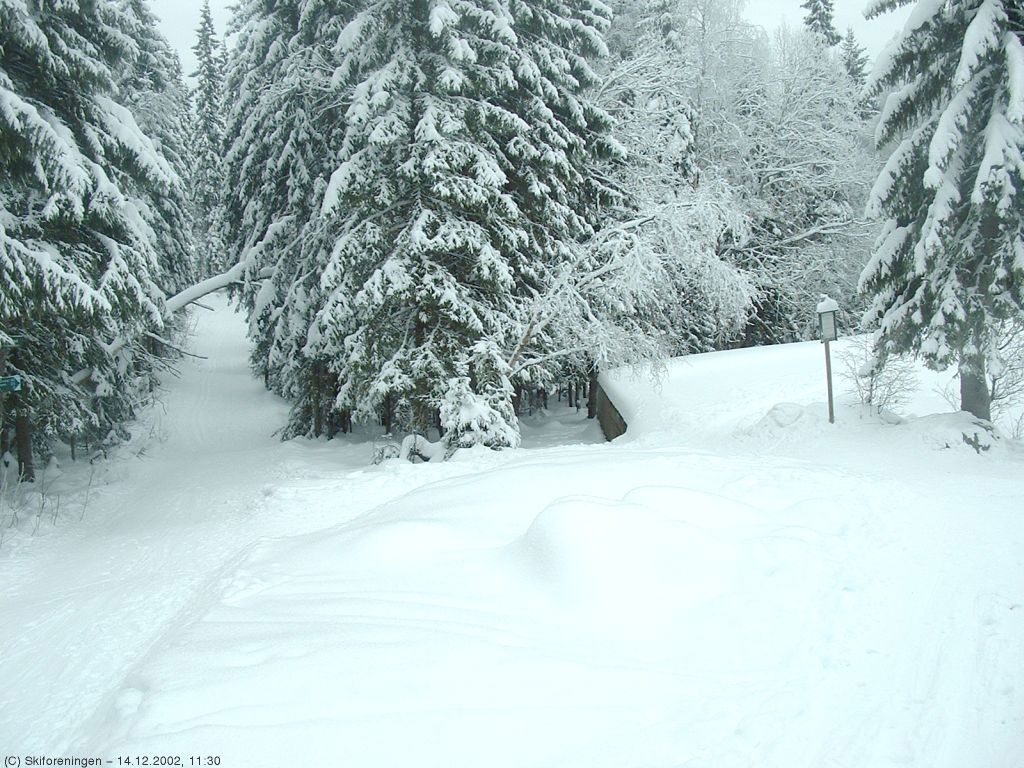 Løypedelet ved Abborvann