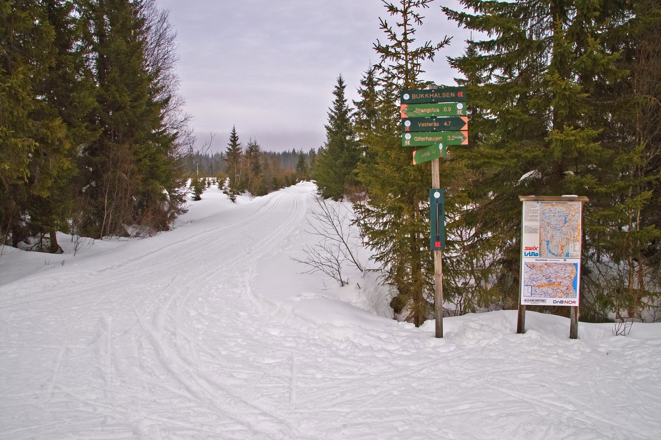Løypedelet ved Bukkhalsen