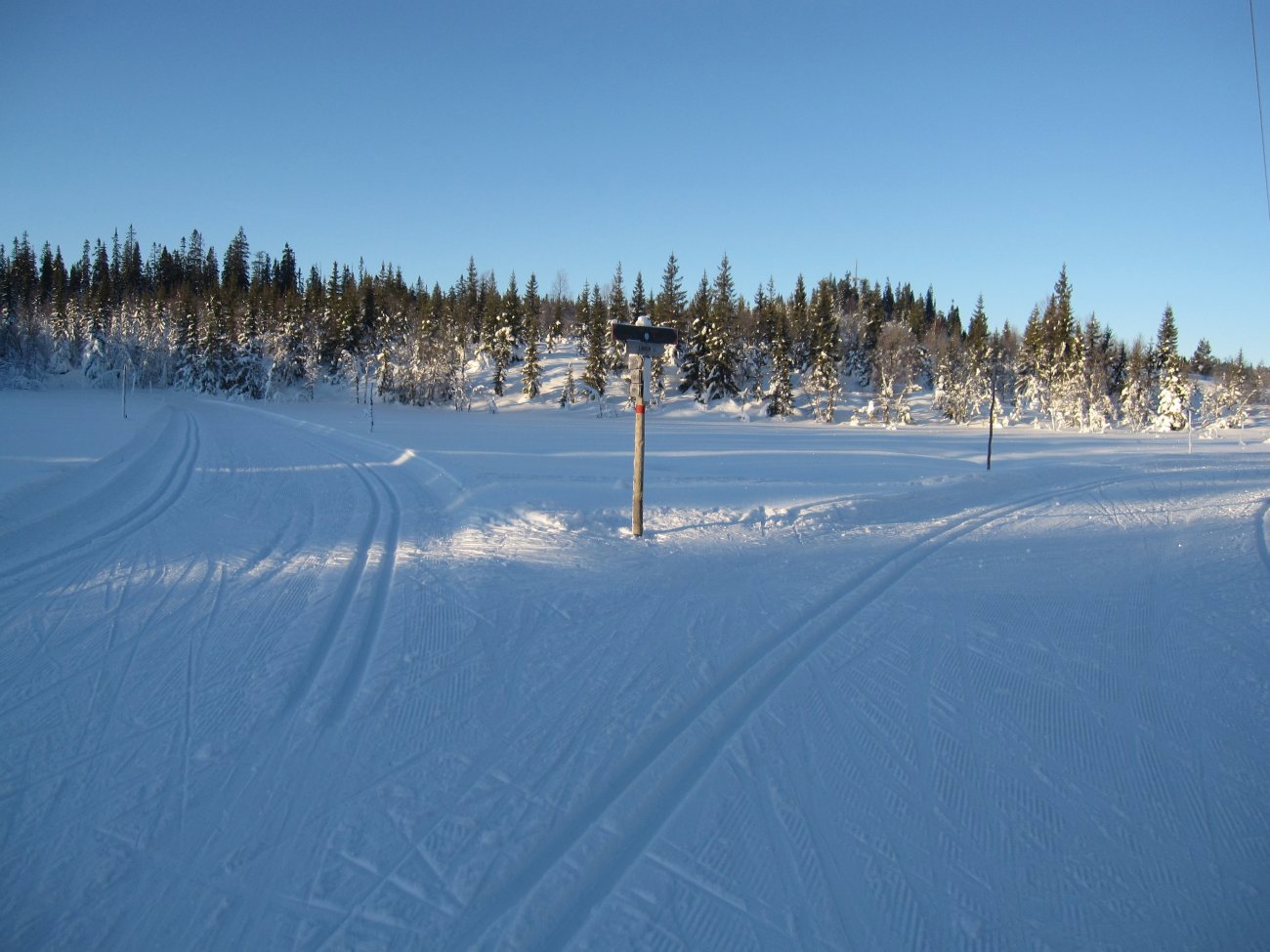 Løypekryset nær Hengedyhaugen
