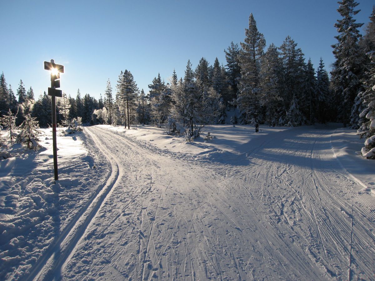 Løypekryss Glåmene vest