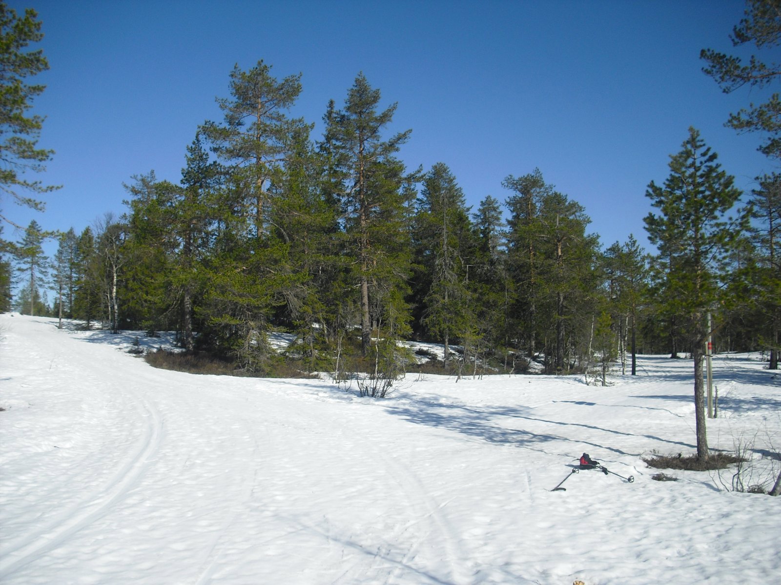 Løypekryss på Lauvliflaka