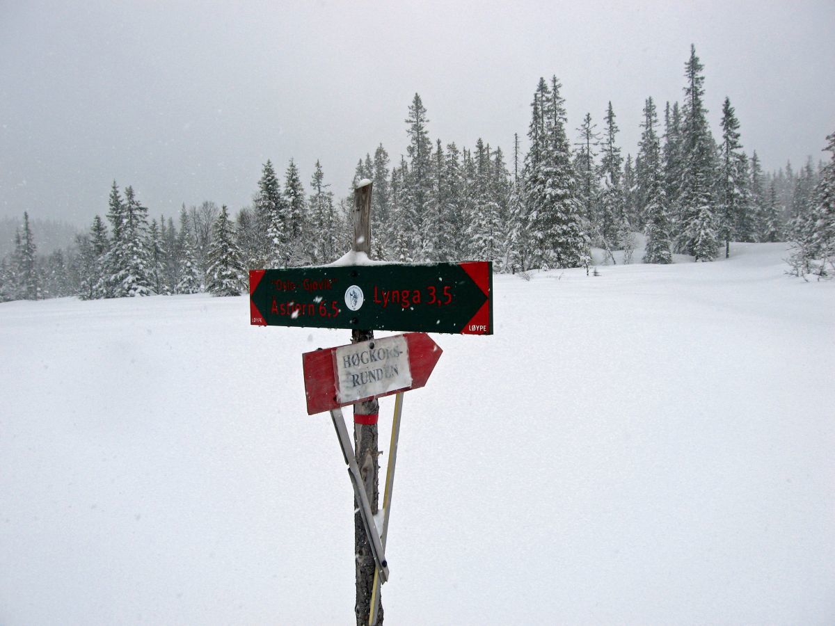 Løypekryss ved Høgkorset