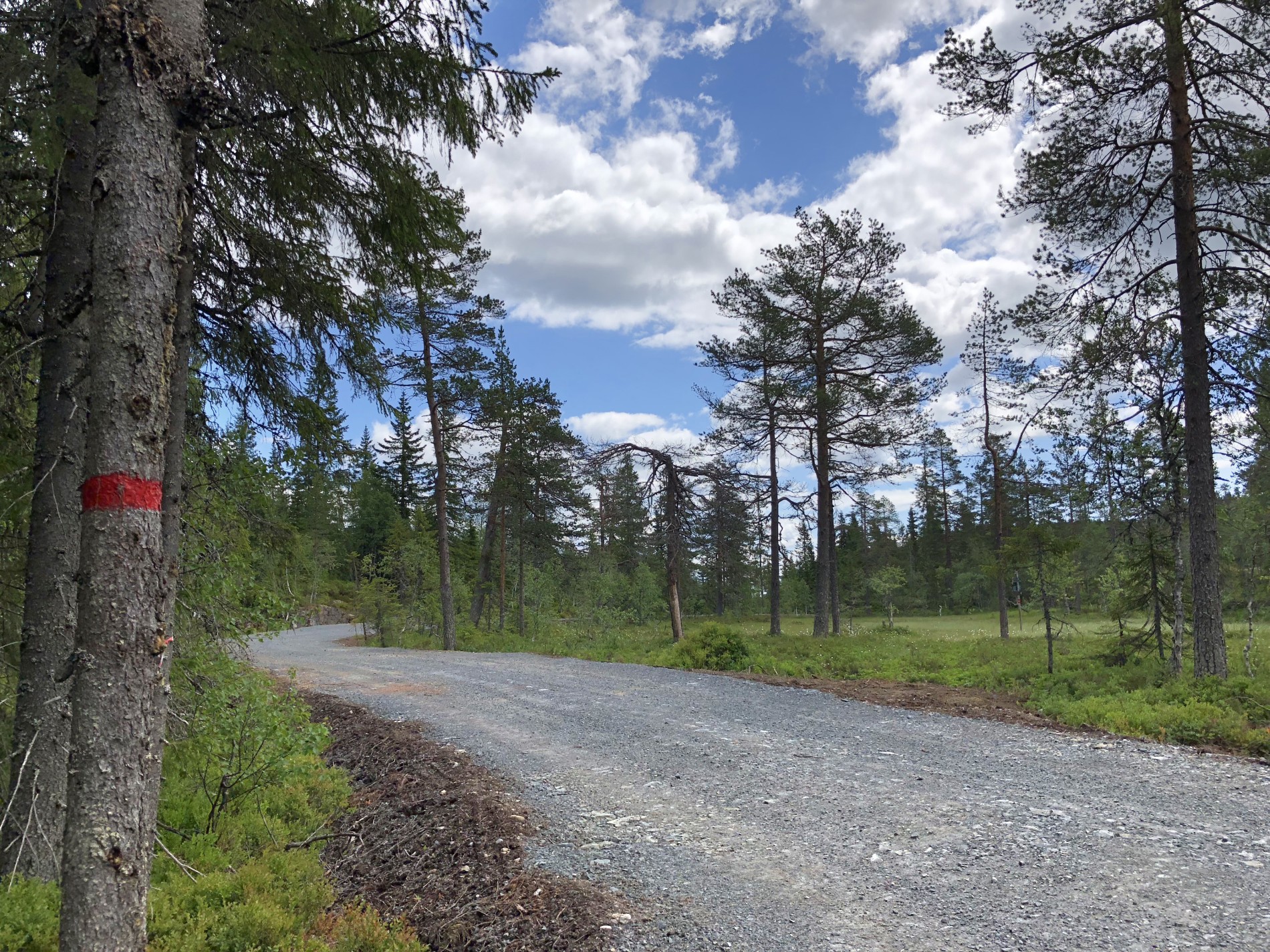 Løypekryss ved ny vei