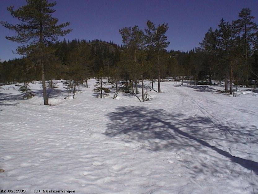 Løypekryss ved Rughaug, Ringkollen
