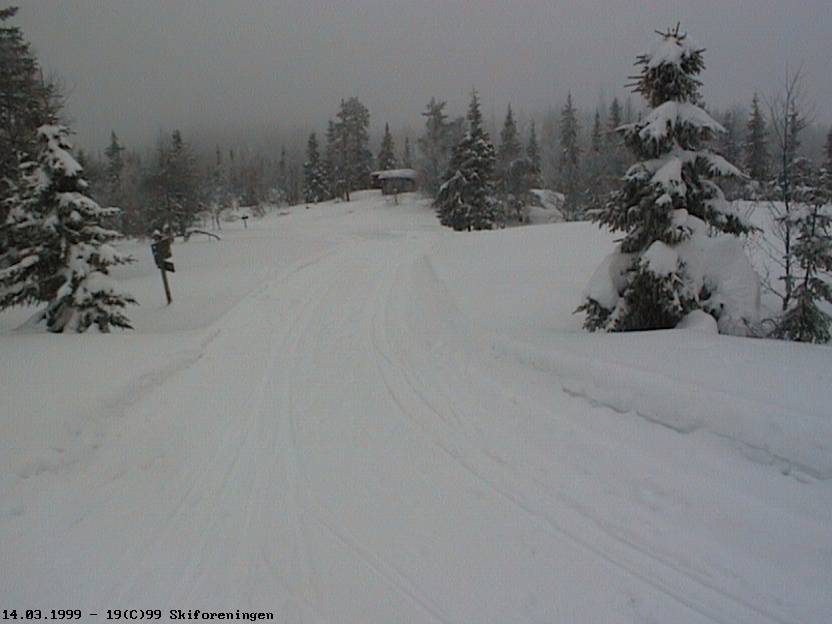 Løypekryss ved Vambutjerna på Ringkollplatået