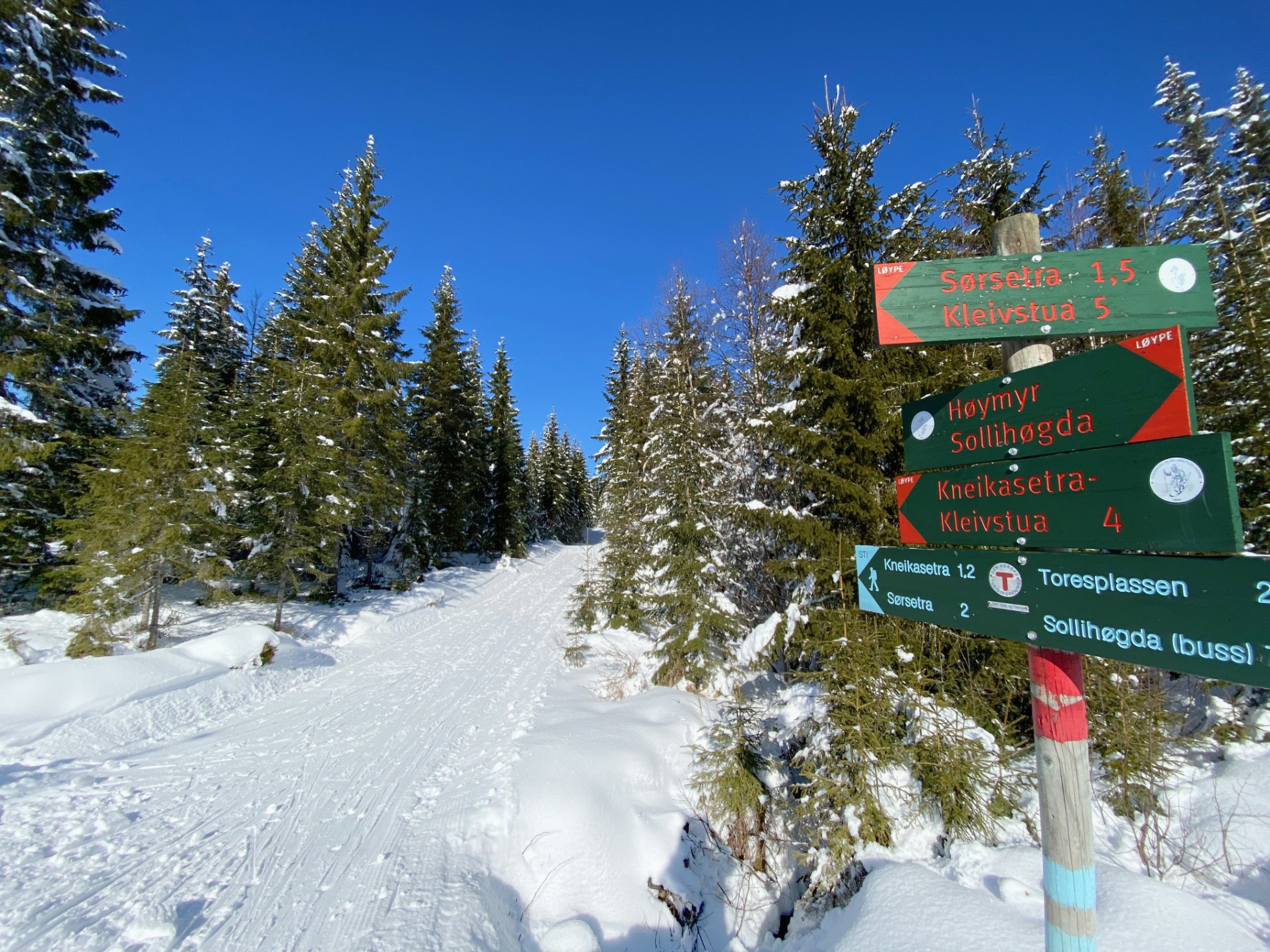 Løypekrysset rett nord for Auretjernsbekken