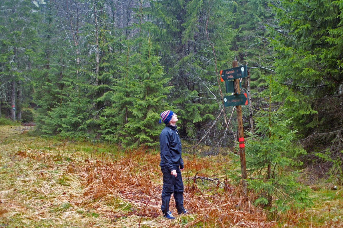 Løypekrysset ved Fløyta