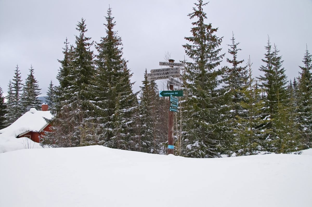 Løypekrysset ved Risbakken