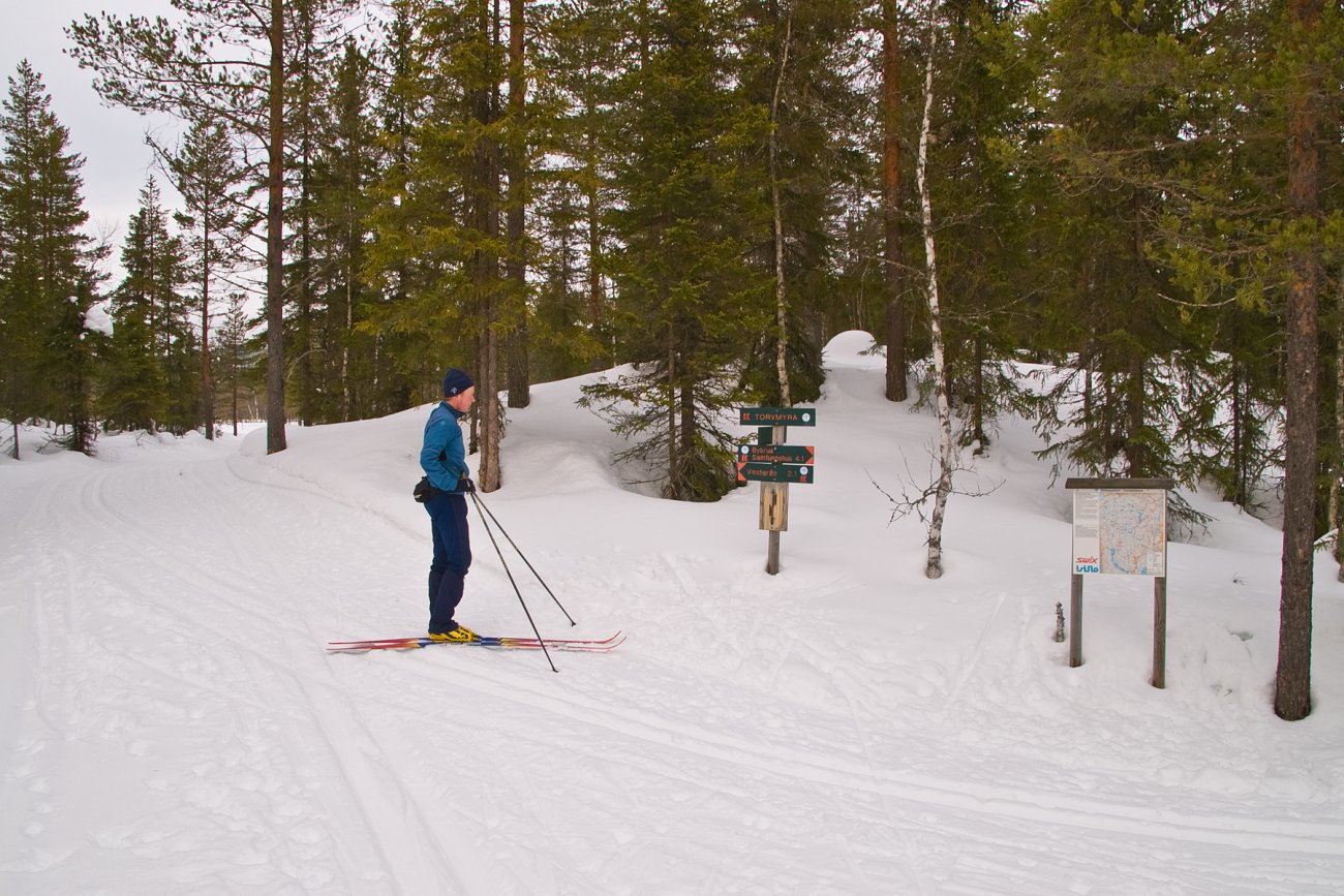 Løypekrysset ved Torvmyra