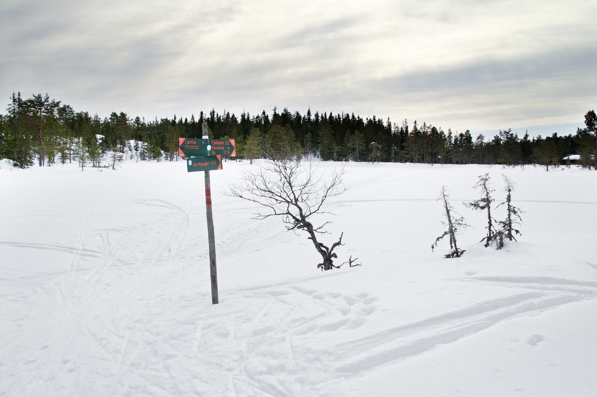 Løypeskiltet ved Lille Gyrihaugtjern