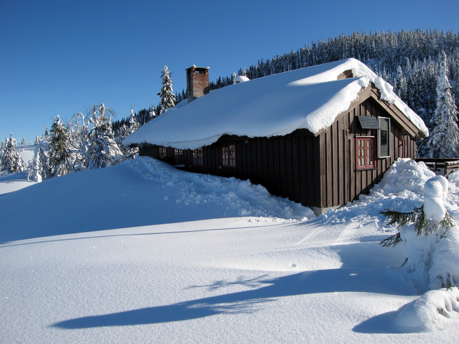 Lushaughytta klar for innrykk