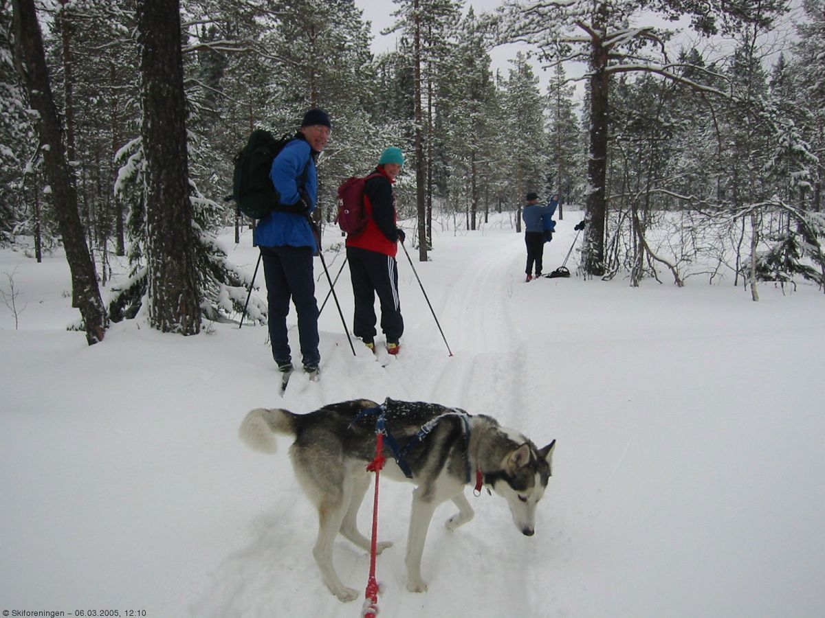 Lygnatur 05: Både to- og firbeinte setter pris på nysnøen.