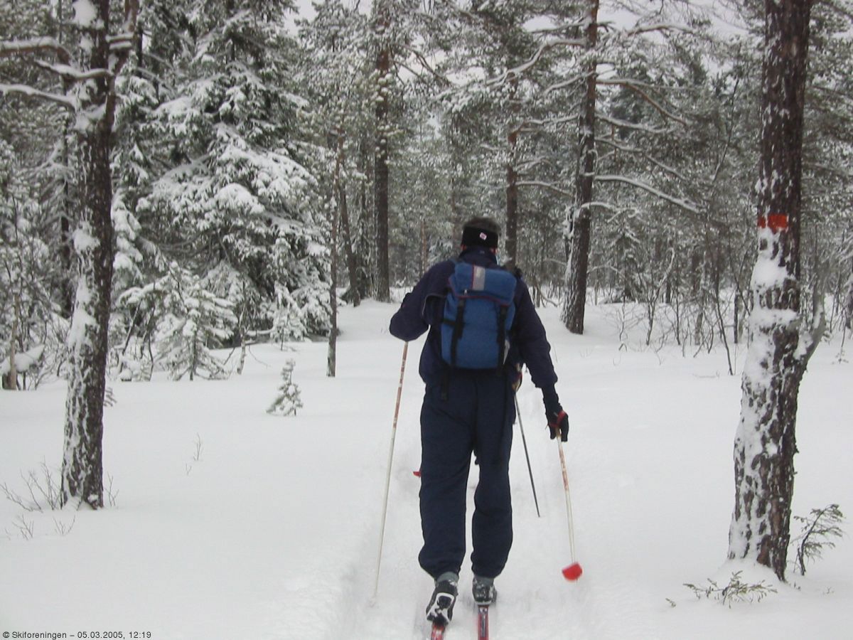 Lygnatur 05: Romantisk scooterløype mellom Koperud og Brovoll.
