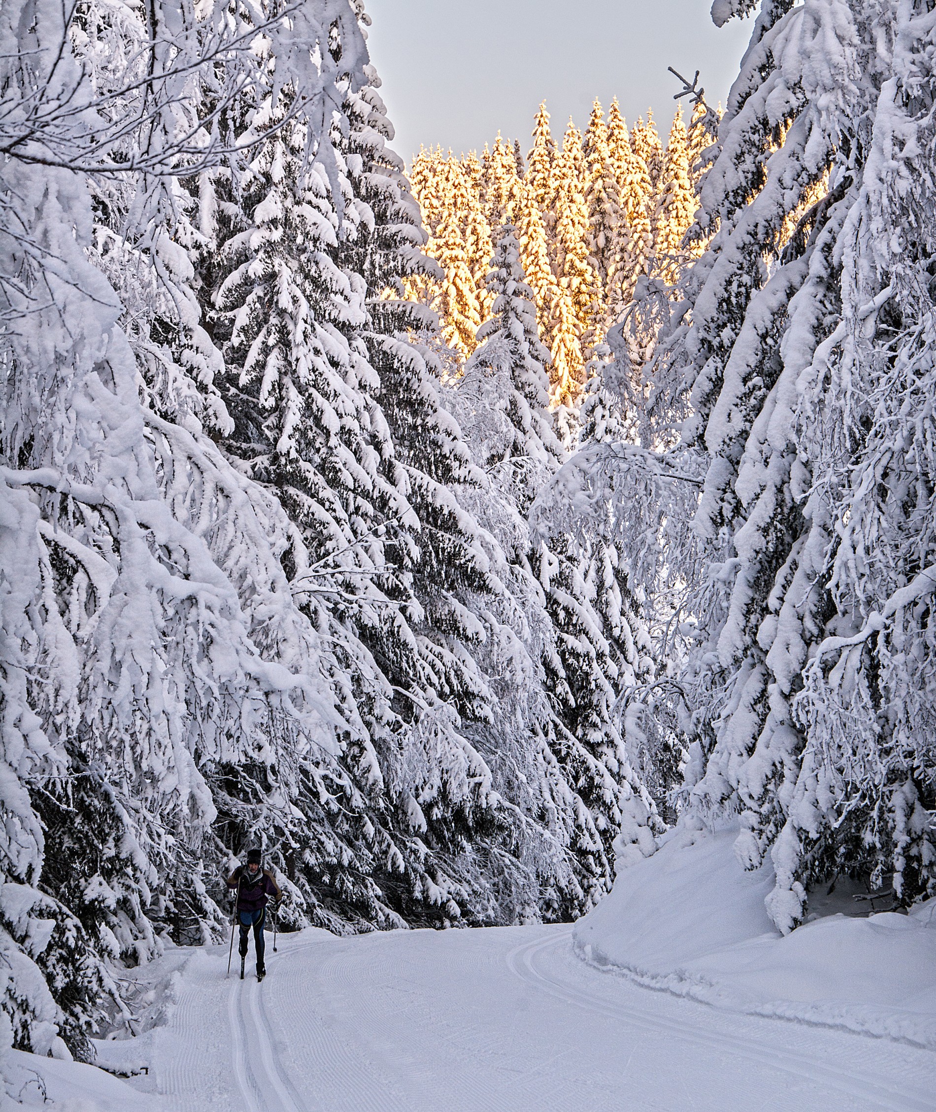 Lys og skygge i bakkene opp fra Aklangen